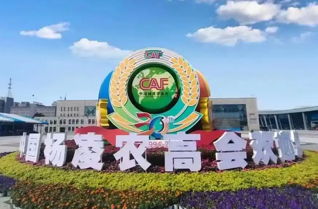 杨凌会展